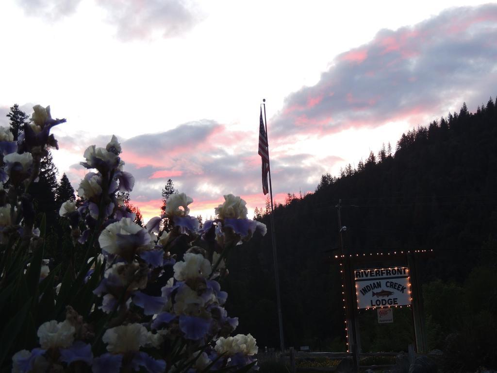 Indian Creek Lodge Douglas City Exterior foto